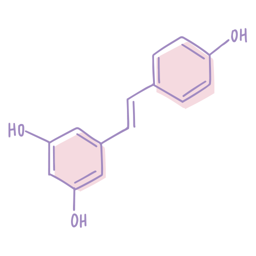 Illustration of Encapsulated Resveratrol